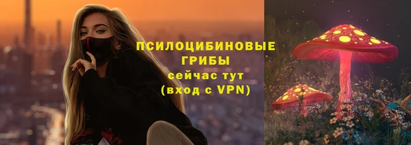 стаф Арсеньев