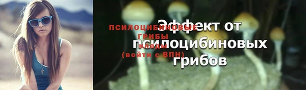 стаф Арсеньев