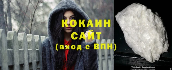 стаф Арсеньев