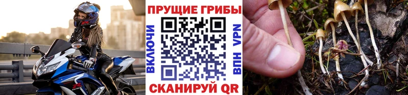 Псилоцибиновые грибы мухоморы  Северобайкальск 